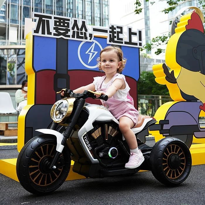 DSC08413(001)