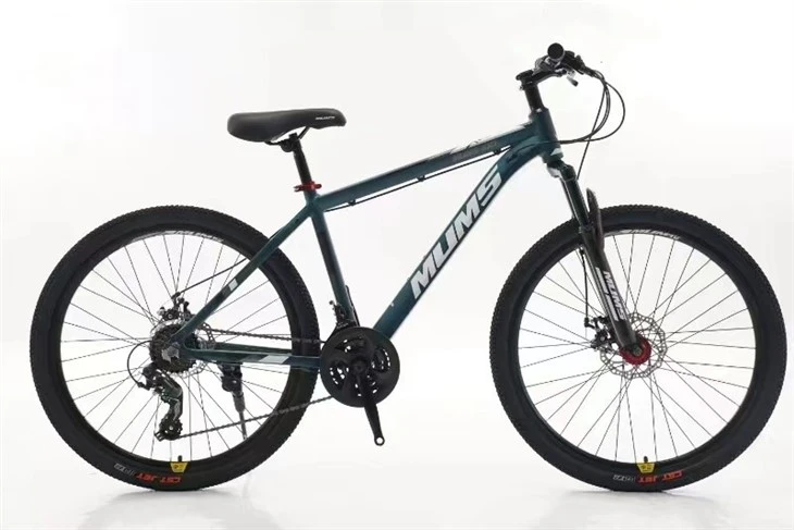Beginner Mountain Bike